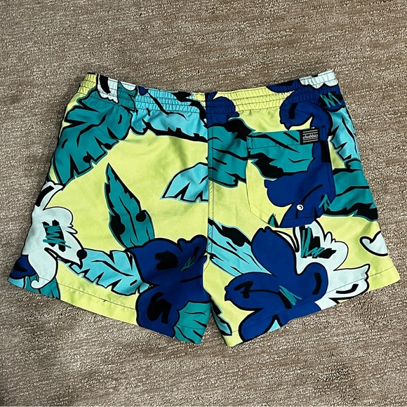 Chubbies Swim Trunks 🌴 - Picture 2 of 2